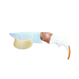 Beaver Jaw Handle Opalite Blade Ornamental Knife # 03868