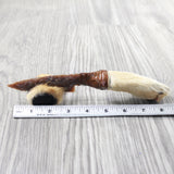 Coyote Foot Handle Stone Blade Ornamental Knife #7750    Mountain Man Knife