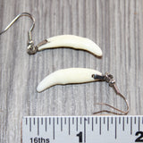 Coyote Teeth  Earrings  #30268