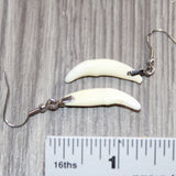 Coyote Teeth  Earrings  #30268