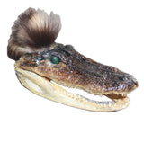 Alligator Head With Raccoon Tail Mohawk  # 04068
