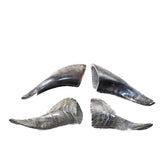 4 Small Polished Goat Horns #2750      Natural Colored