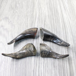 4 Small Polished Goat Horns #2750      Natural Colored