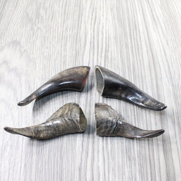 4 Small Polished Goat Horns #2750      Natural Colored