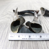 4 Small Polished Goat Horns #2750      Natural Colored