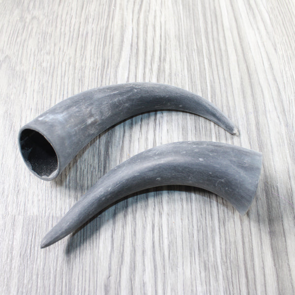 2 Small Raw Unfinished Cow Horns #2850    Natural Colored