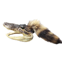 Alligator Head With Raccoon Tail Mohawk  # 6850