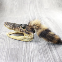 Alligator Head With Raccoon Tail Mohawk  # 6850