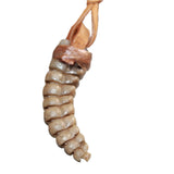Extra Large Rattlesnake Rattle  Necklace  # 25168