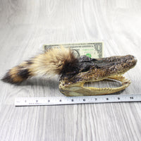 Alligator Head With Raccoon Tail Mohawk  # 6850