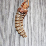 Extra Large Rattlesnake Rattle  Necklace  # 25168