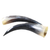 2 Polished Cow Horns #0850    Natural colored