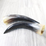 2 Polished Cow Horns #0850    Natural colored