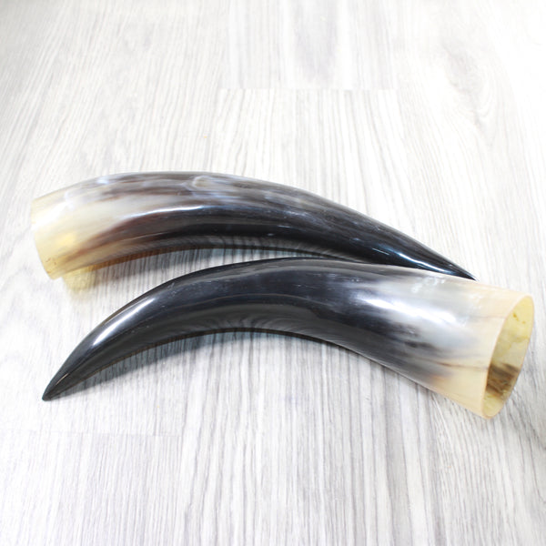 2 Polished Cow Horns #0850    Natural colored