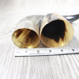 2 Polished Cow Horns #0850    Natural colored