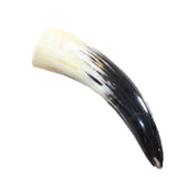 1 Small Polished Cow Horn #2950 Natural Colored