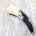 1 Small Polished Cow Horn #2950 Natural Colored