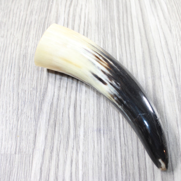 1 Small Polished Cow Horn #2950 Natural Colored