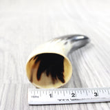 1 Small Polished Cow Horn #2950 Natural Colored