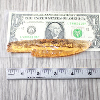 1 Glass Ornamental Knife Blade  #514-1  Mountain Man Knife