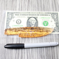 1 Glass Ornamental Knife Blade  #514-1  Mountain Man Knife