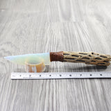 Cholla Cactus Wood Handle Opalite Blade Ornamental Knife #0050     Mountain Man Knife