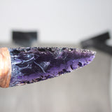 Coyote Jaw Handle Glass Blade Ornamental Knife #31768