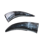 2 Small Polished Cow Horns #168    Natural colored