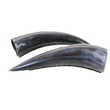 2 Small Polished Cow Horns #5050    Natural colored