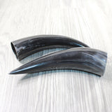 2 Small Polished Cow Horns #5050    Natural colored