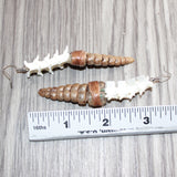 Large Rattlesnake Rattle Plus Vertebrae Earrings  # 25768