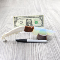 Coyote Jaw Handle Opalite Blade Ornamental Knife #6150     Mountain Man Knife