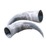 2 Small Raw Unfinished Cow Horns #5150    Natural Colored