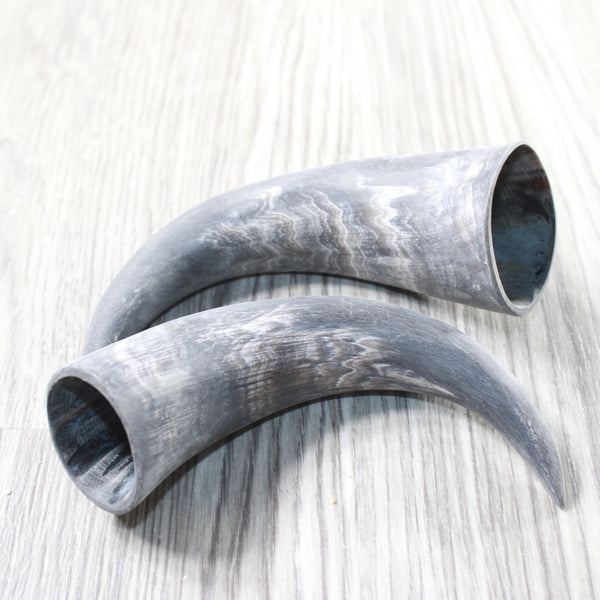 2 Small Raw Unfinished Cow Horns #5150    Natural Colored