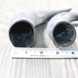 2 Small Raw Unfinished Cow Horns #5150    Natural Colored