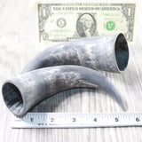 2 Small Raw Unfinished Cow Horns #5150    Natural Colored