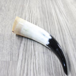 1 Small Polished Cow Horn #3150 Natural Colored