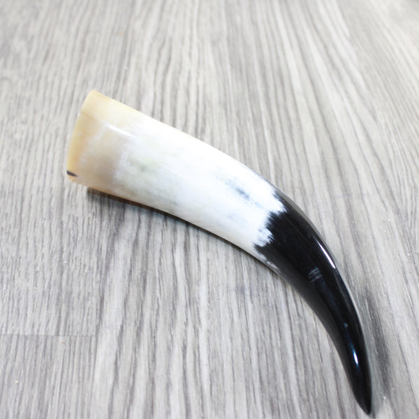 1 Small Polished Cow Horn #3150 Natural Colored