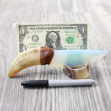 Goat Horn Handle Opalite Blade Ornamental Knife #8150     Mountain Man Knife