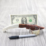 Coyote Jaw Handle Stone Blade Ornamental Knife #0250    Mountain Man Knife