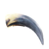 1 Raw Unfinished Cow Horn #2250   Natural Colored