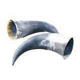 2 Raw Unfinished Cow Horns #054-1 Natural Colored a