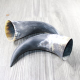 2 Raw Unfinished Cow Horns #054-1 Natural Colored a