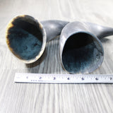 2 Raw Unfinished Cow Horns #054-1 Natural Colored a