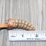 Large Rattlesnake Rattle  Necklace  # 25268