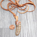Large Rattlesnake Rattle  Necklace  # 25268