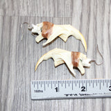 Muskrat Jaw Earrings  #30568