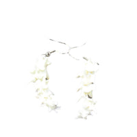 Rattlesnake Vertebrae  Earrings  #6350   Mountain Man Earrings