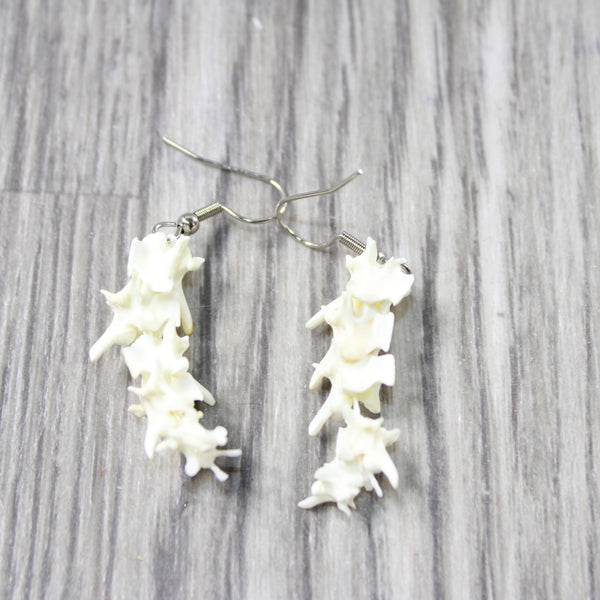 Rattlesnake Vertebrae  Earrings  #6350   Mountain Man Earrings