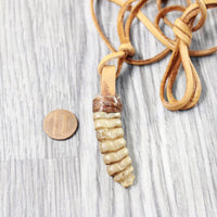 Large Rattlesnake Rattle  Necklace  #4450    Mountain Man Necklace